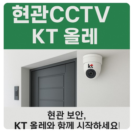 현관CCTV3